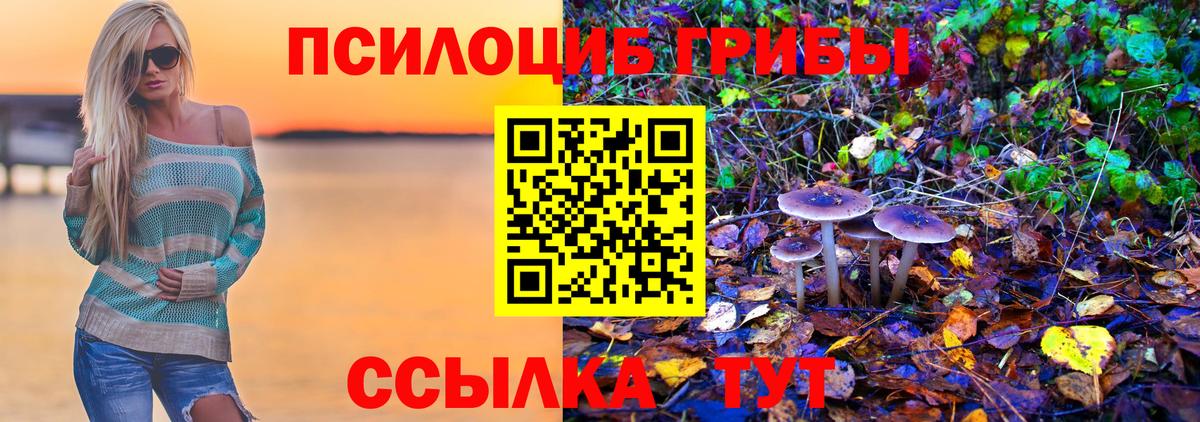 Иркутск  Псилоцибиновые грибы Psilocybine cubensis  Вход с VPN 