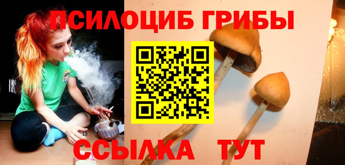 Галлюциногенные грибы мицелий Иркутск