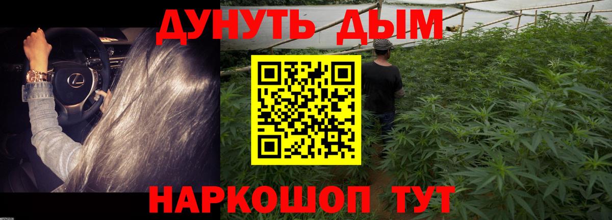 Шишки марихуана White Widow  МАРИХУАНА Bruce Banner  Иркутск  Вход с VPN  Марихуана AK-47 